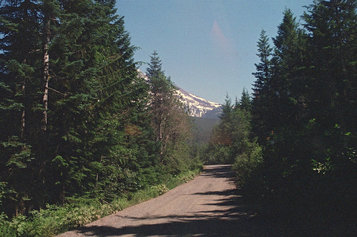 Mountain road winding through evergreen forest toward a snow-covered peak